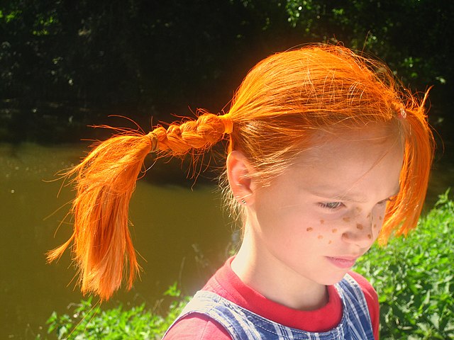 Pippi Långstrump: Ett litterärt personporträtt
