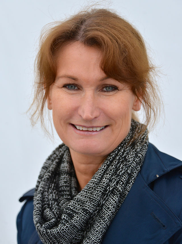 Sammanfattning av I de lugnaste vatten av Viveca Sten